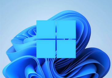 Support during windows 11 upgrade